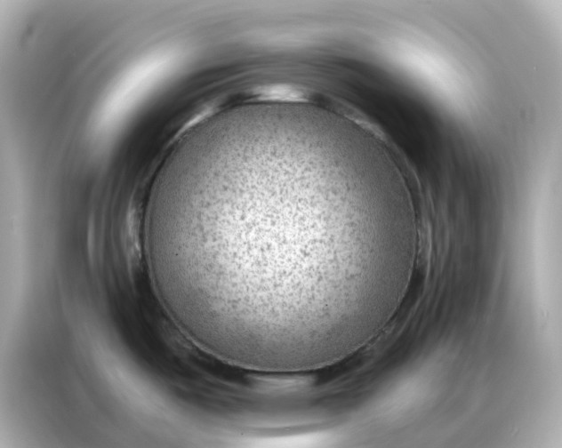 X0000086981487200704301307