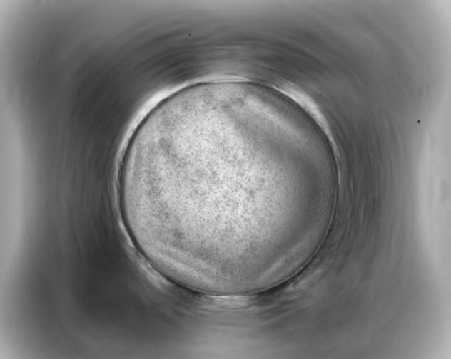 X0000086981488200704301307