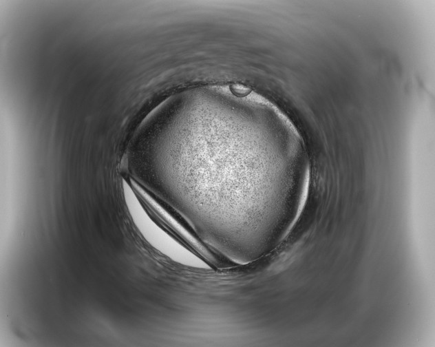 X0000086981490200704301307