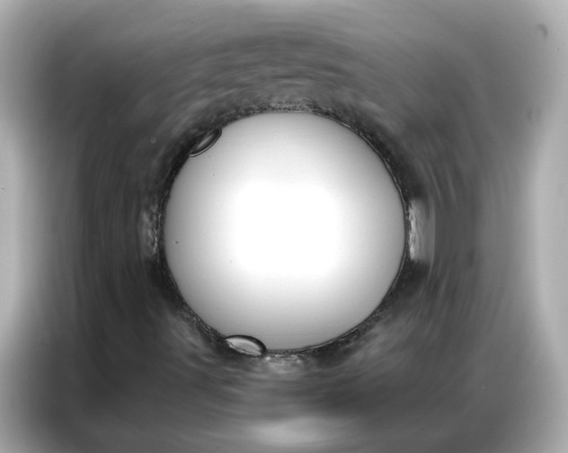 X0000086981491200704301307