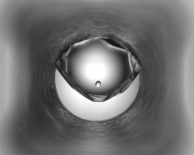 X0000086981492200704301307