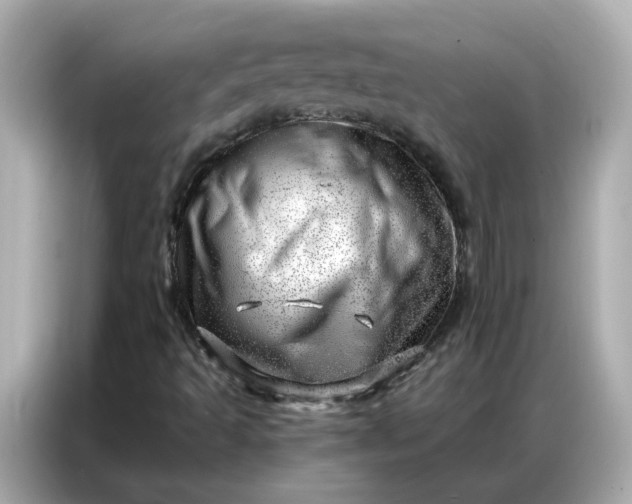 X0000086981493200704301307