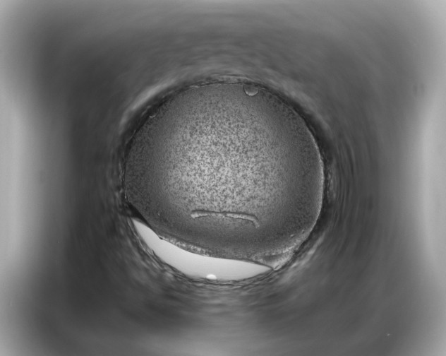 X0000086981494200704301307