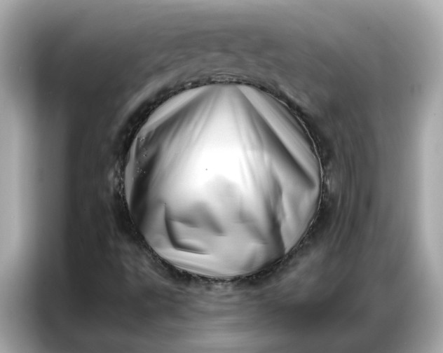 X0000086981495200704301307