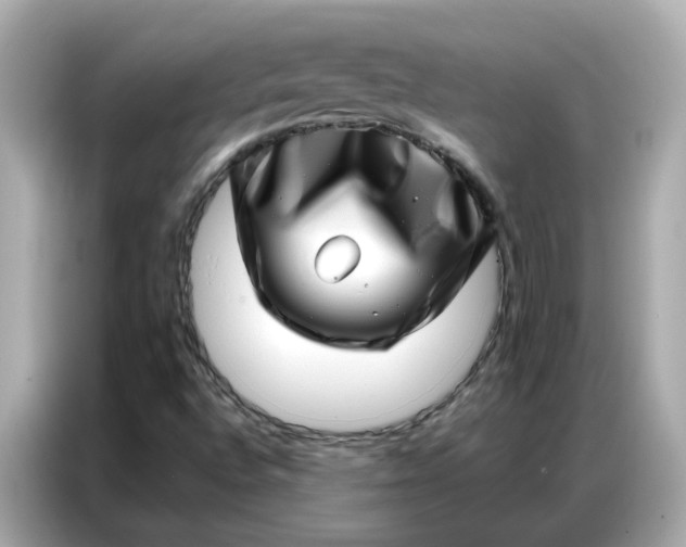 X0000086981496200704301307