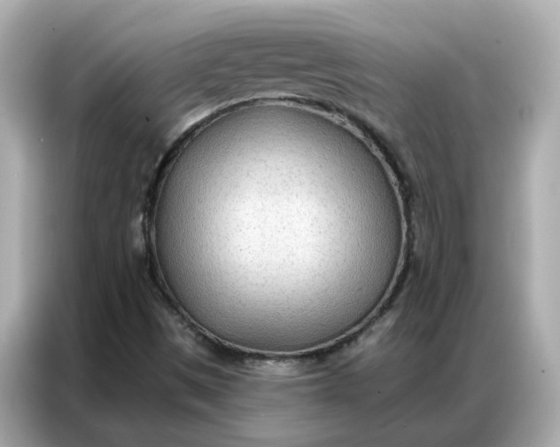 X0000086981497200704301307