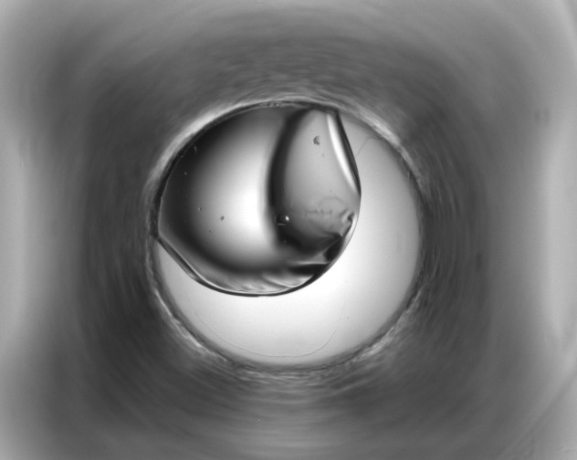 X0000086981500200704301307