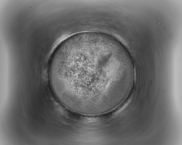 X0000086981501200704301307