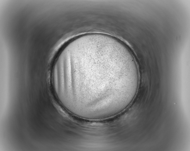 X0000086981503200704301307