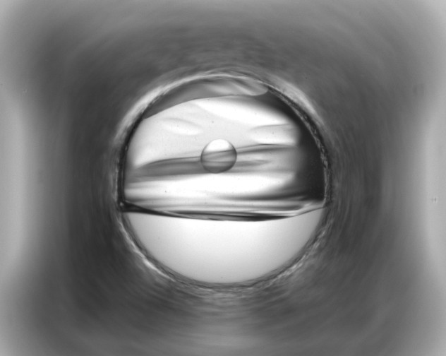 X0000086981504200704301307