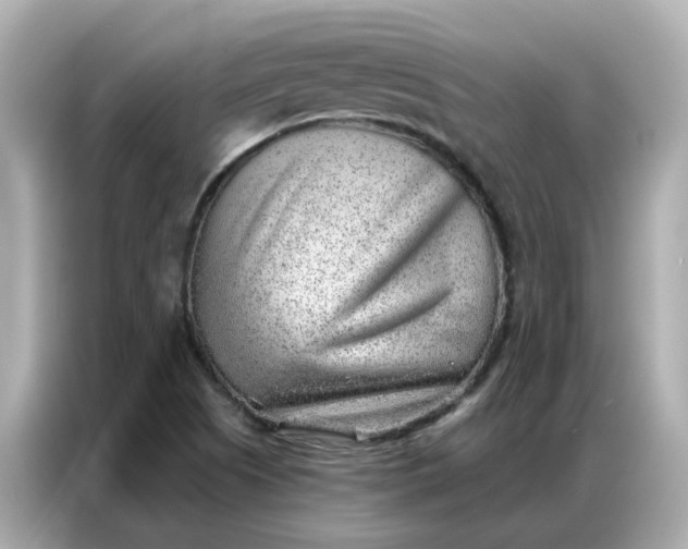 X0000086981505200704301307