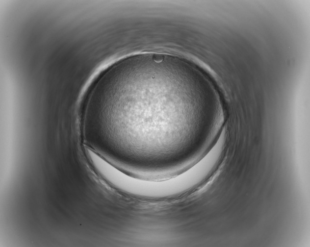 X0000086981506200704301307