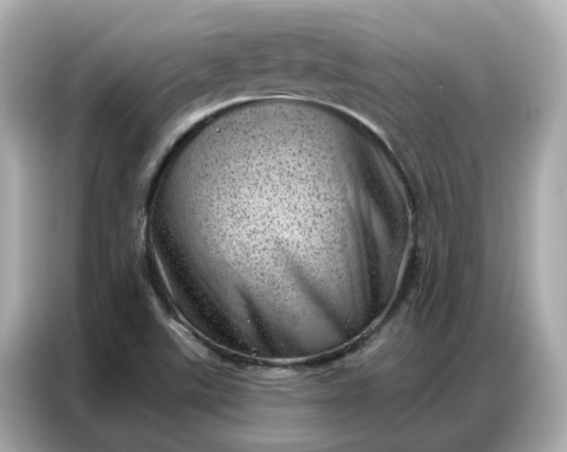 X0000086981507200704301307