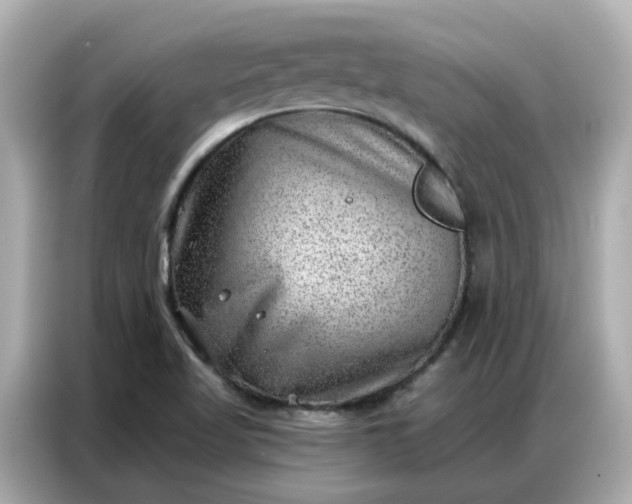 X0000086981509200704301307