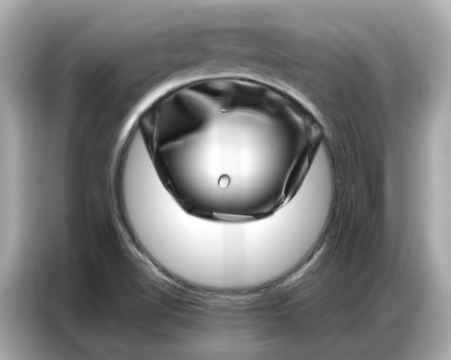 X0000086981510200704301307