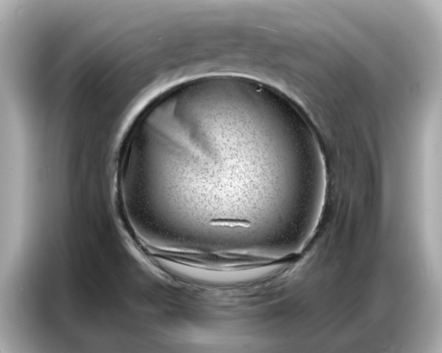 X0000086981511200704301307