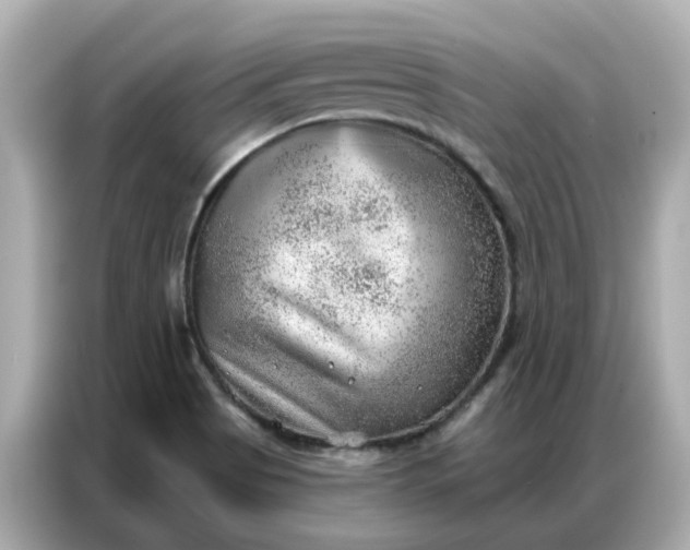 X0000086981513200704301307