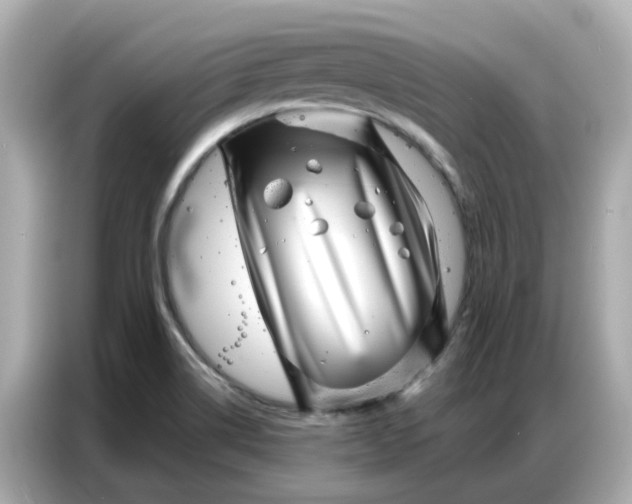 X0000086981514200704301307