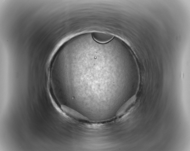 X0000086981515200704301307