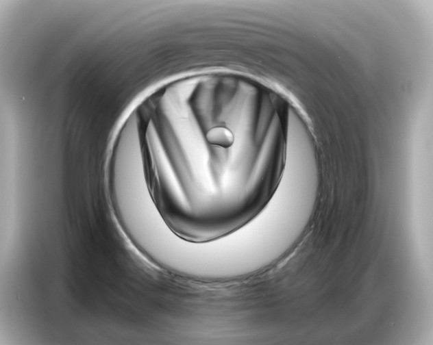 X0000086981516200704301307