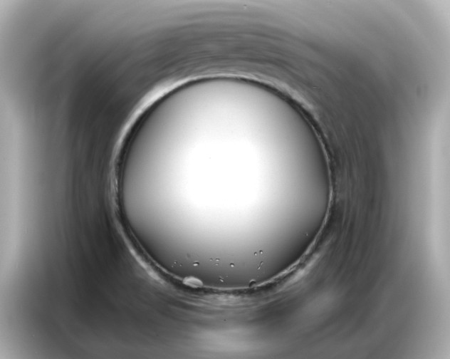 X0000086981517200704301307