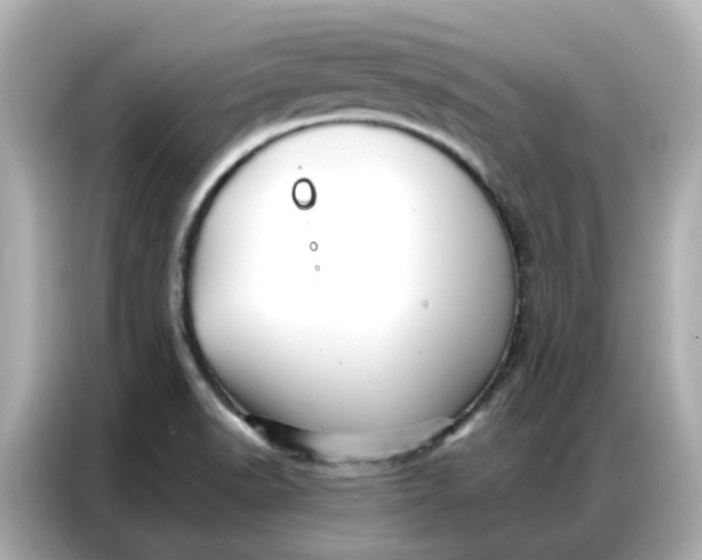 X0000086981518200704301307