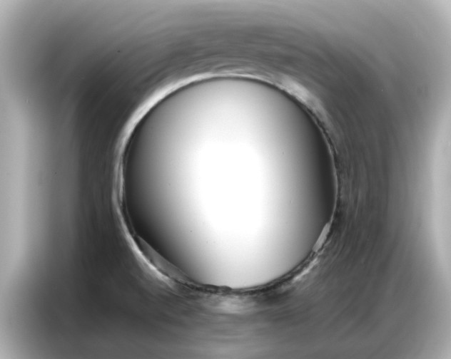 X0000086981520200704301307