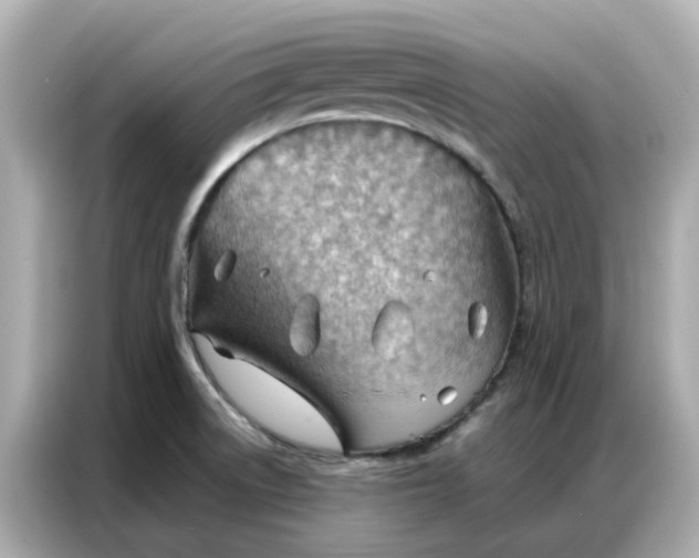 X0000086981522200704301307