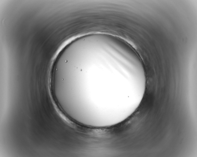 X0000086981523200704301307