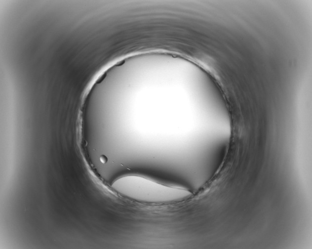 X0000086981524200704301307