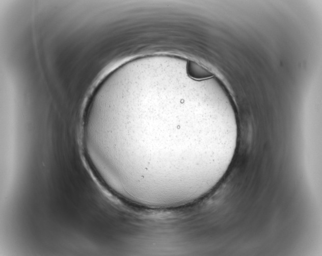 X0000086981525200704301307