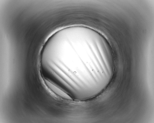 X0000086981526200704301307