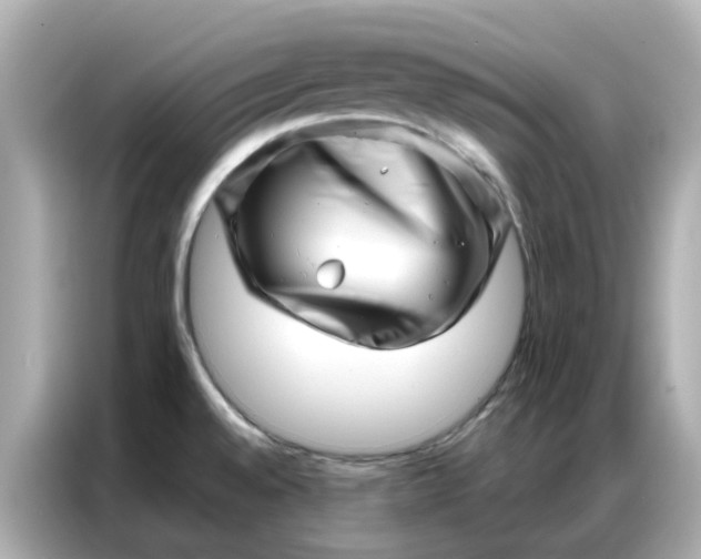 X0000086981528200704301307