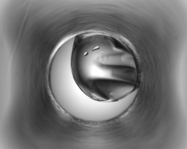 X0000086981530200704301307