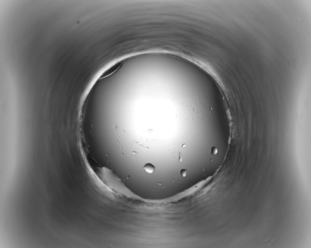 X0000086981532200704301307