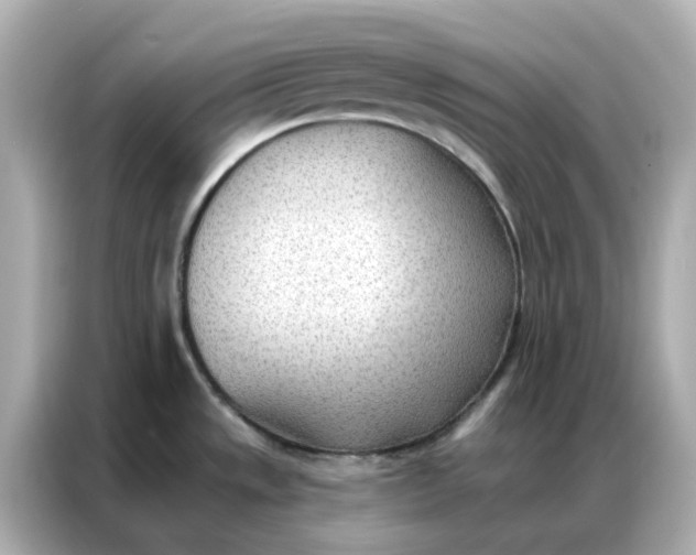 X0000086981533200704301307