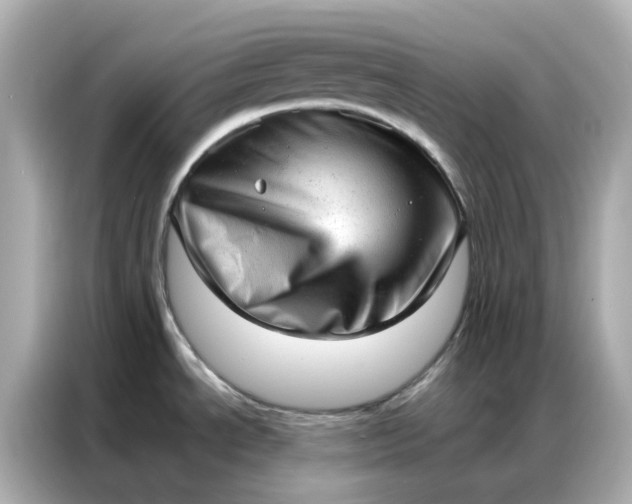 X0000086981534200704301307