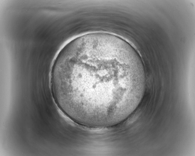 X0000086981535200704301307