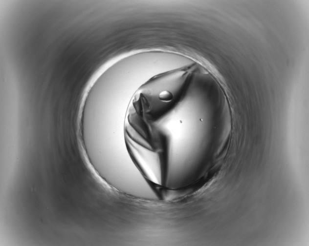 X0000086981536200704301307