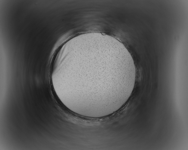 X0000086980004200705071426