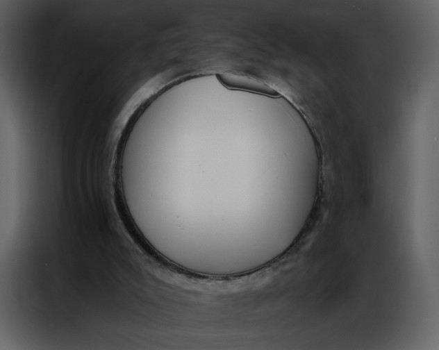 X0000086980007200705071426