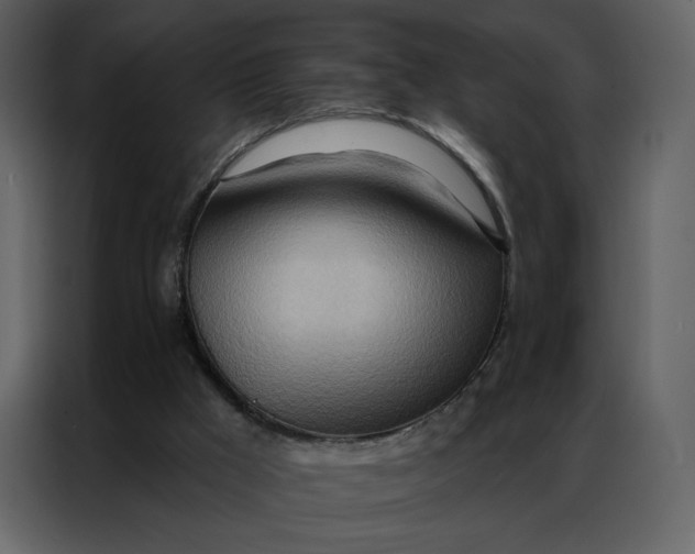 X0000086980009200705071426