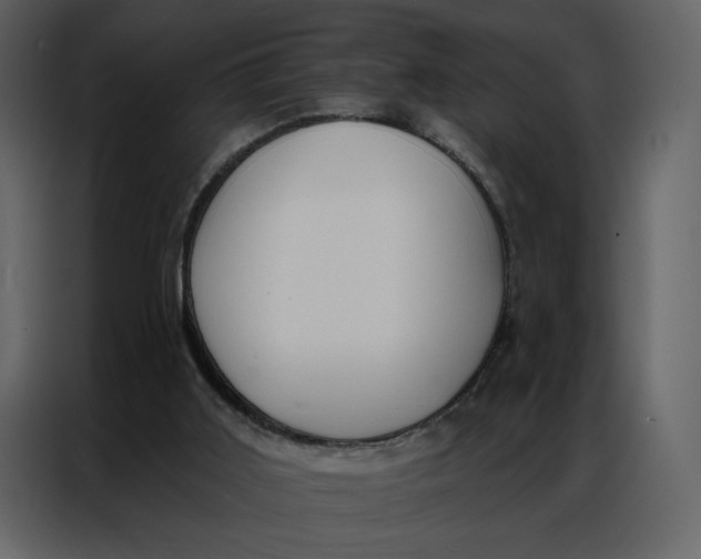 X0000086980011200705071426