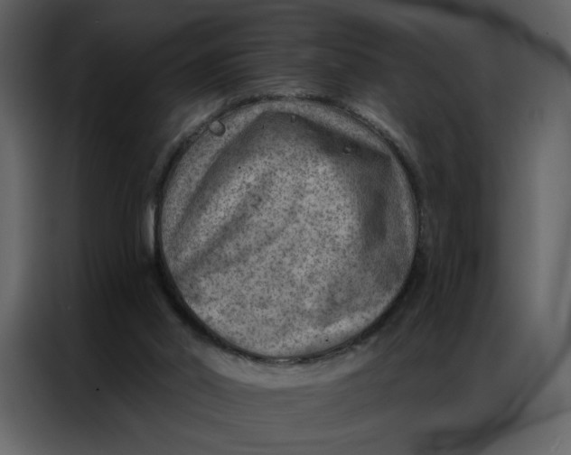 X0000086980014200705071426