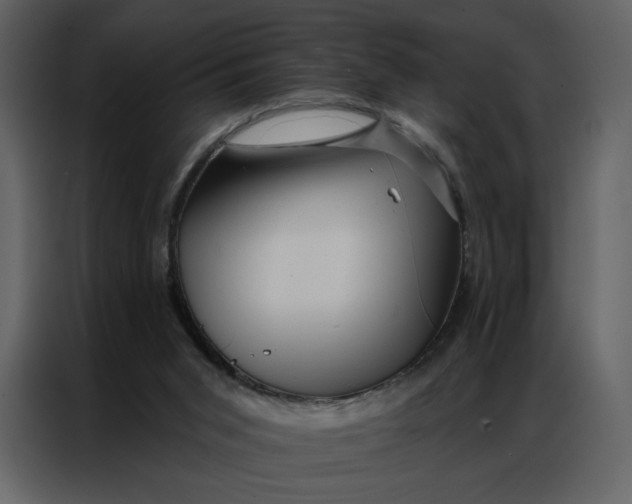 X0000086980015200705071426