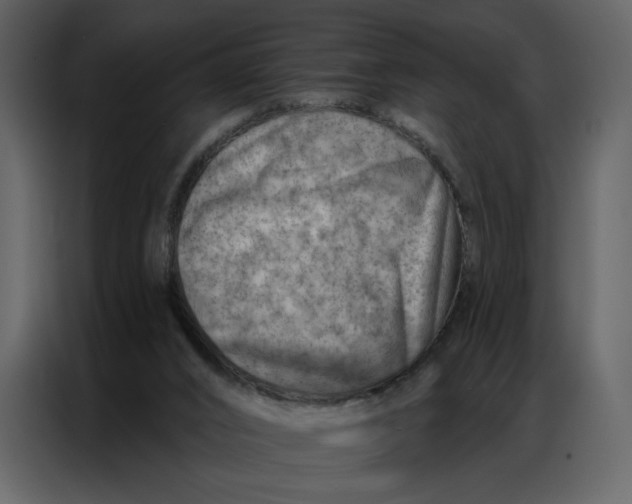 X0000086980016200705071426