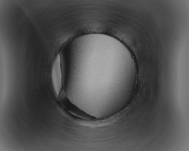 X0000086980017200705071426