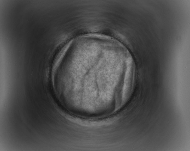 X0000086980018200705071426