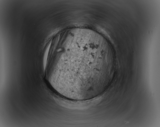 X0000086980019200705071426