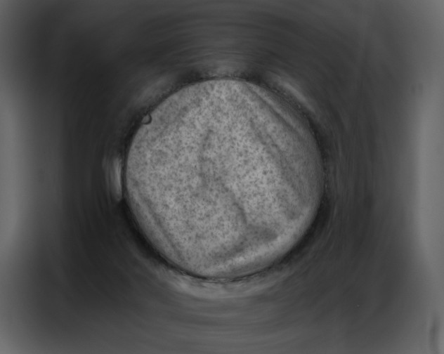 X0000086980022200705071426